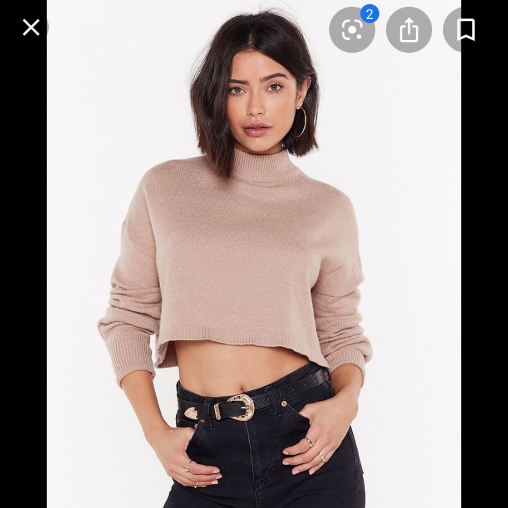 Nasty Gal// Falling Hard Crop Sweater